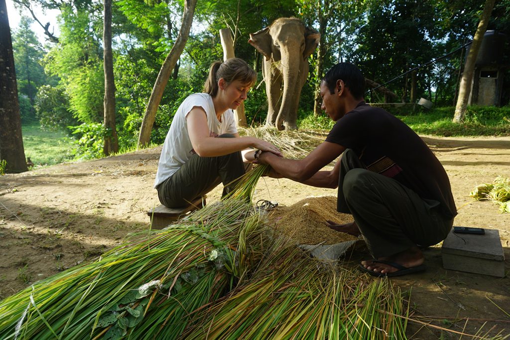 Guest and mahout weaving grass together in Chitwan
