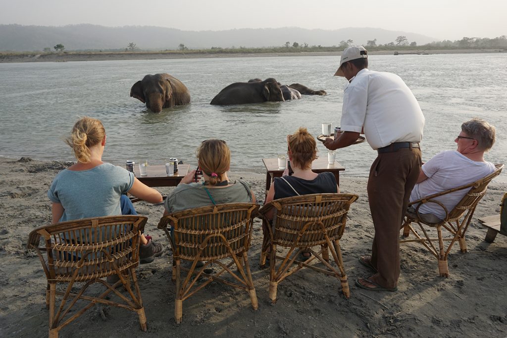 Sundowners on the riverbank at Chitwan, as the herd bathes at dusk.
