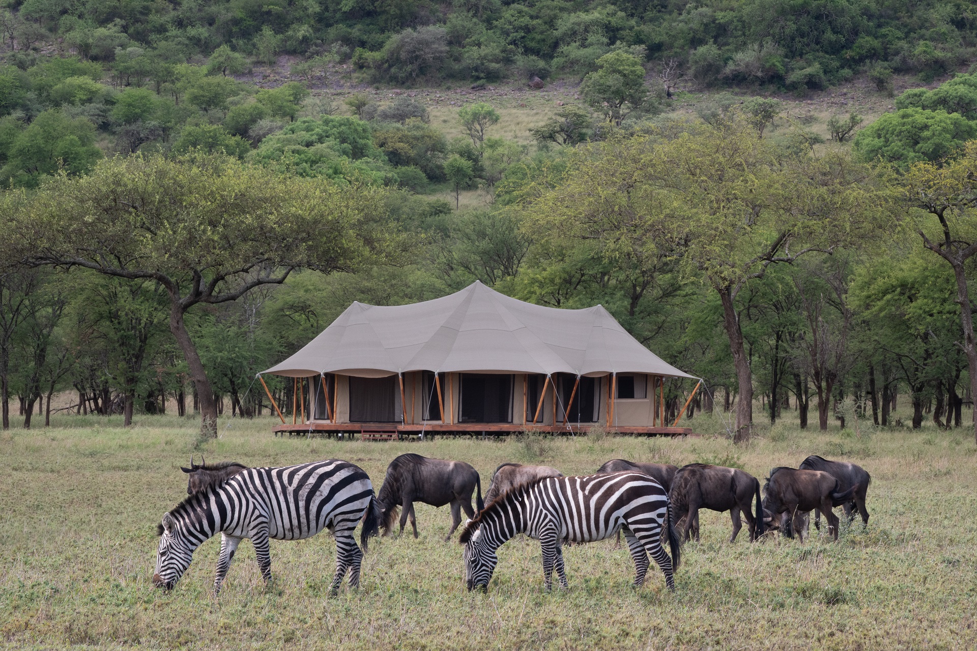 Cherero Camp
