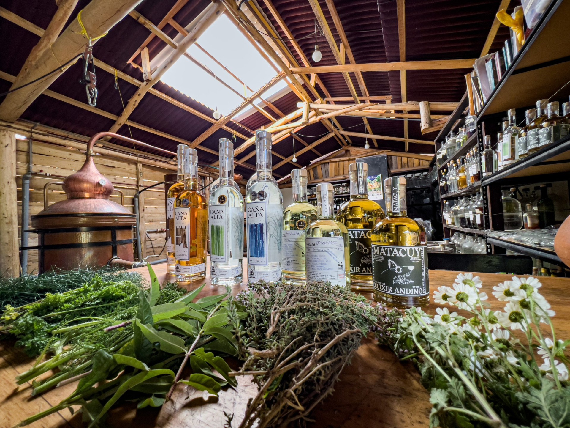 Bottles of Caña Alta and Matacuy with Andean botanicals at El Albergue's on-site distillery