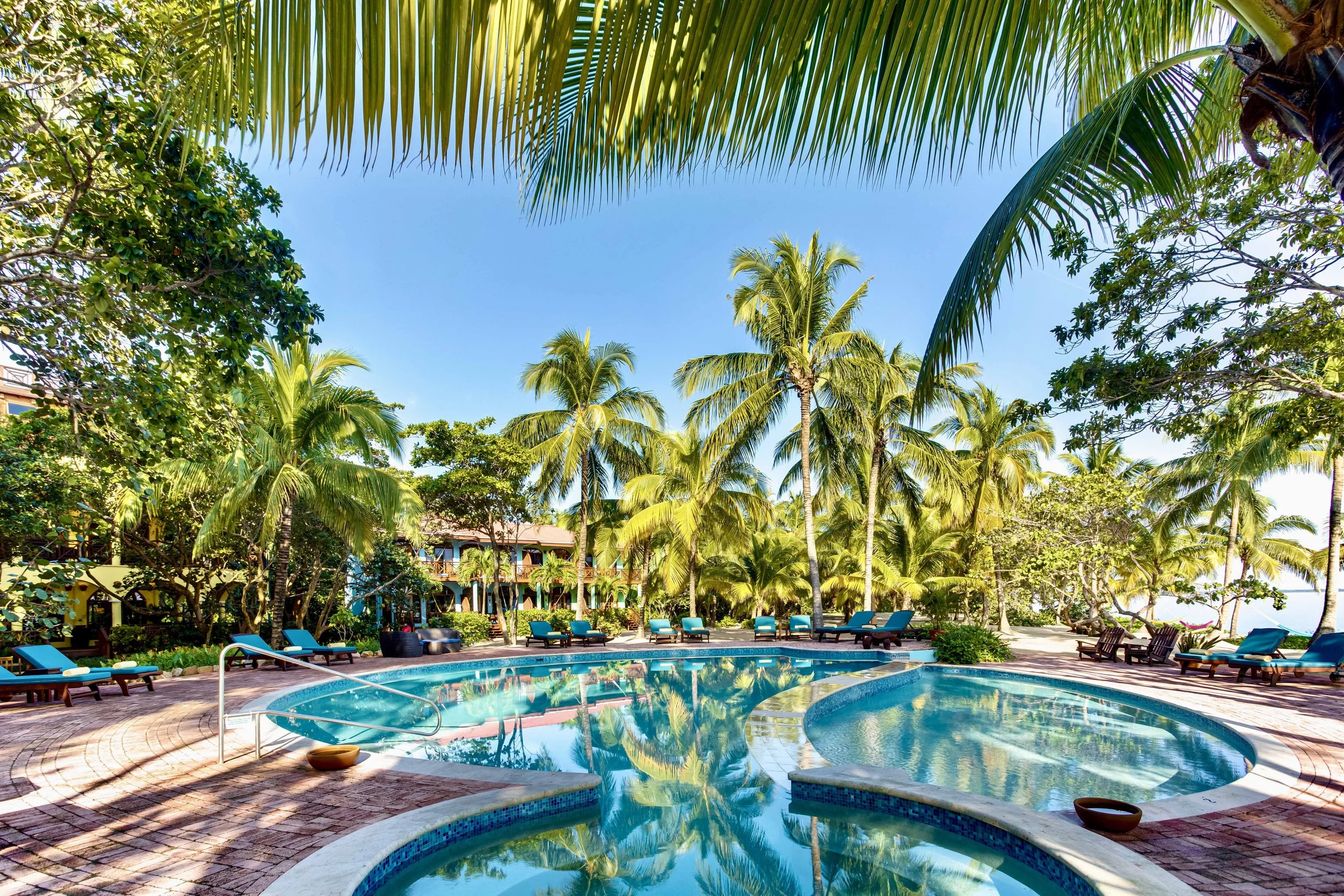 Reef & Rainforest: Belize preview 4