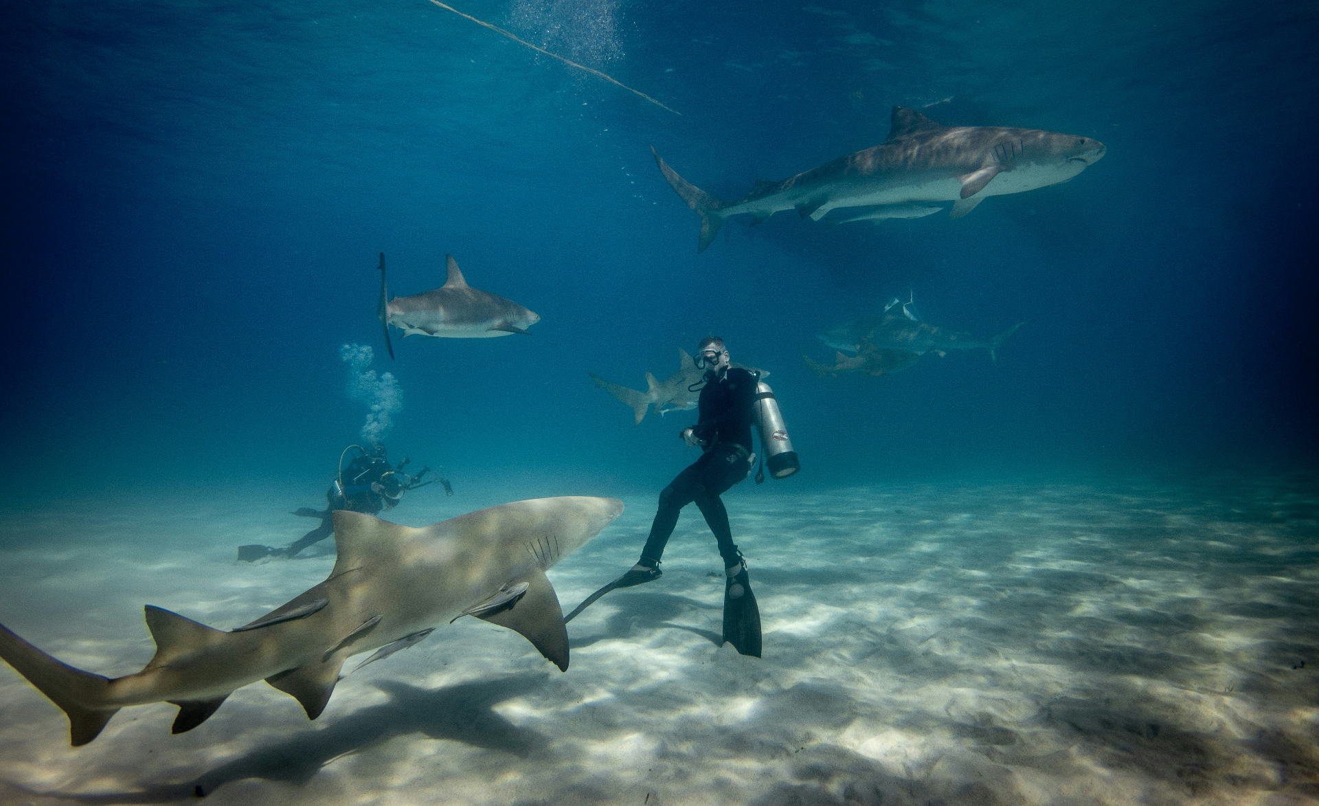 Reef & Rainforest: Belize