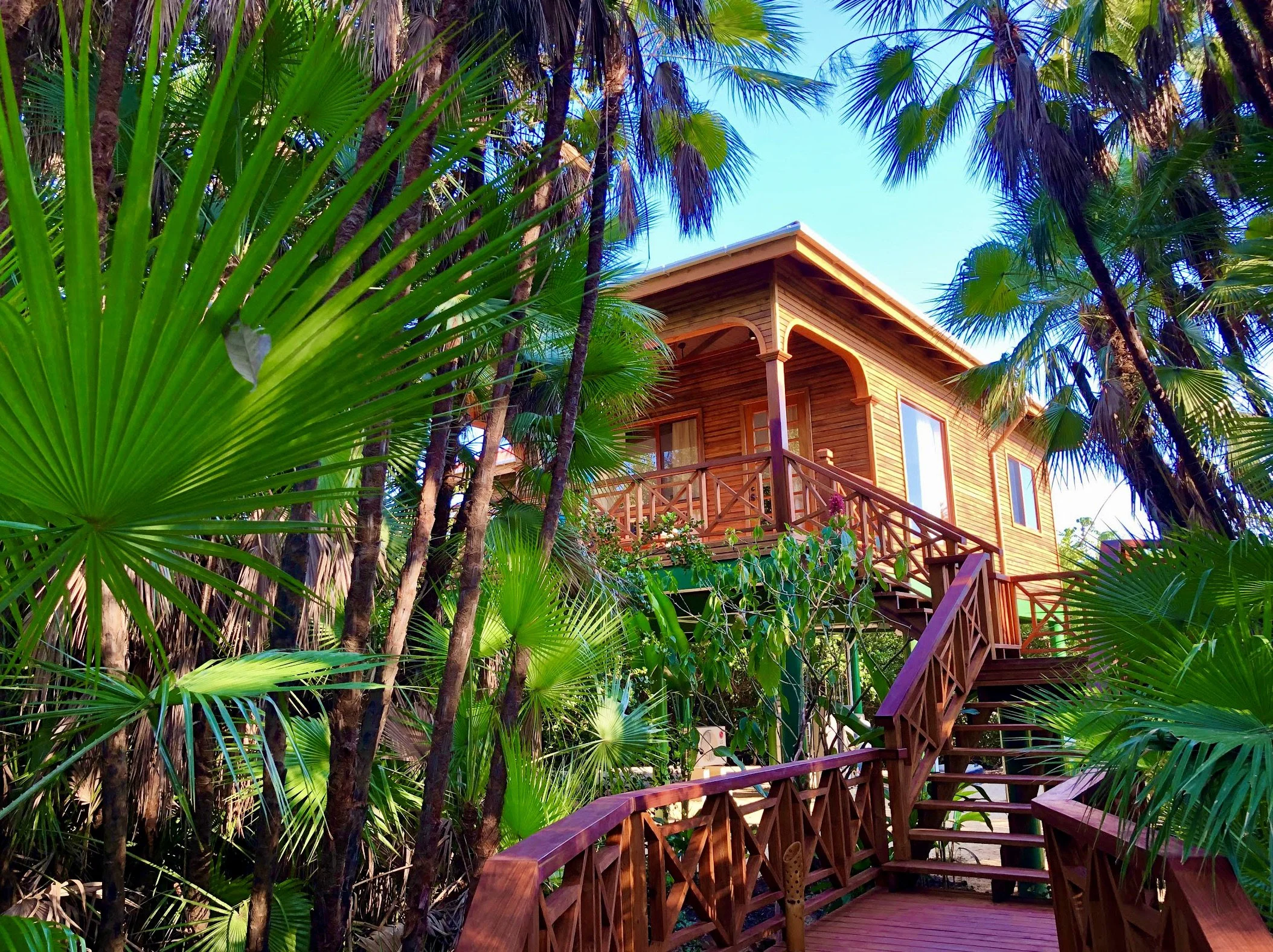 Reef & Rainforest: Belize preview 2