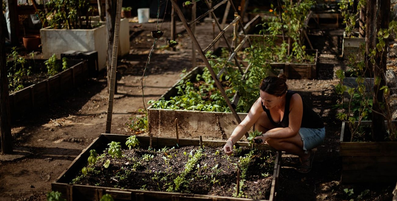 Regenerative garden and community farming
