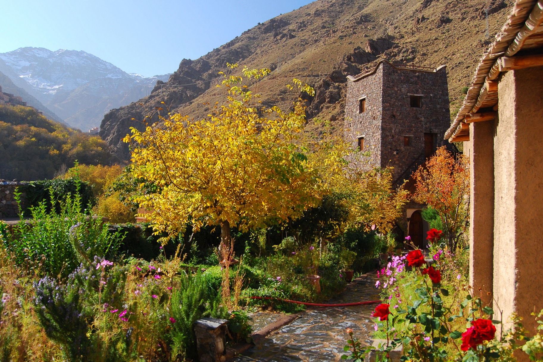 Kasbah garden with autumn colours
