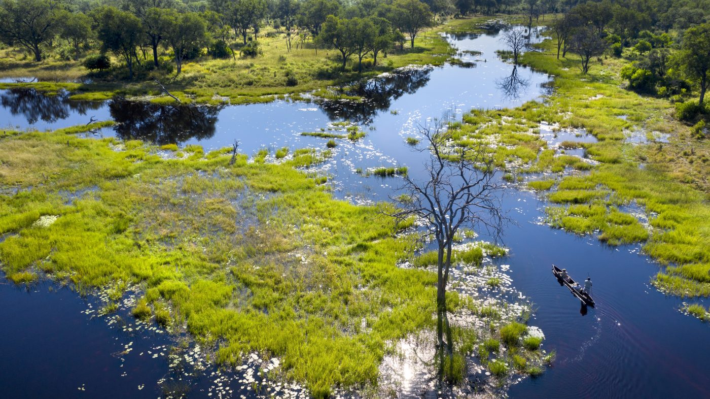 Okavango, Big Five & the Winelands