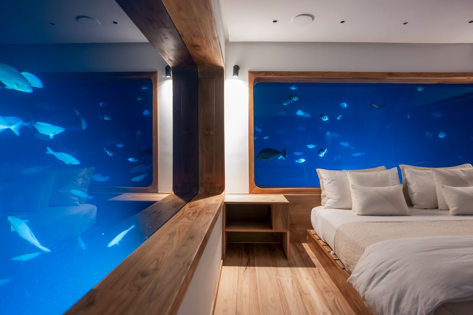 Underwater Room window with reef fish