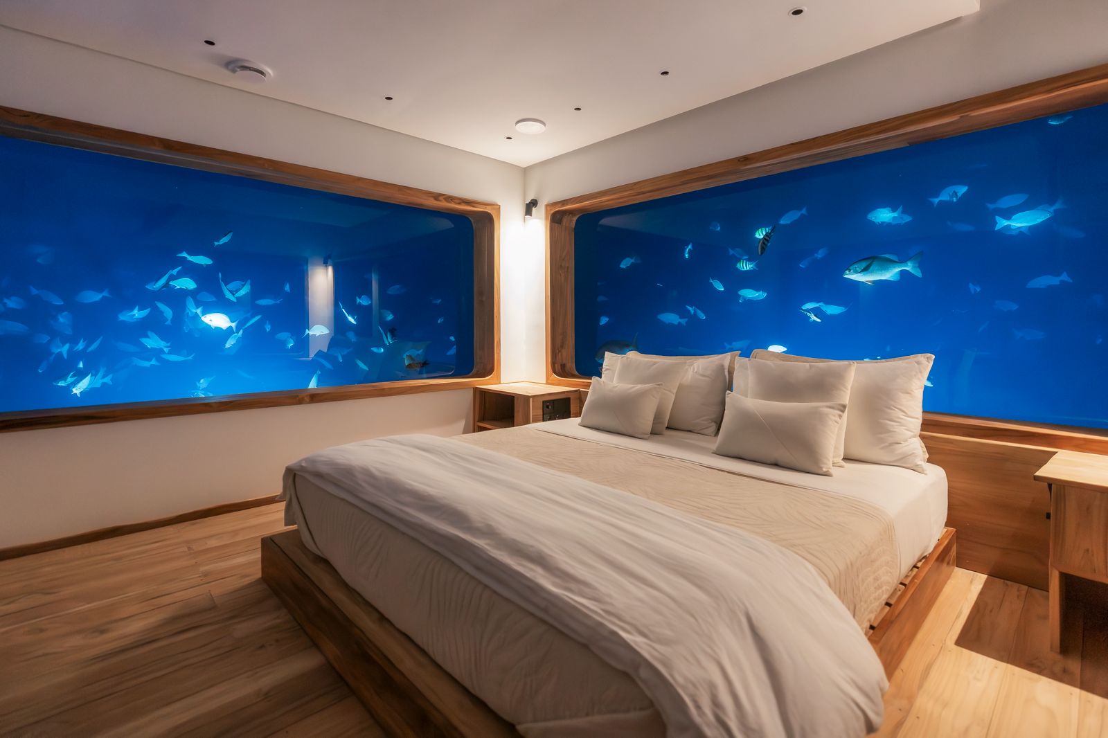 The Underwater Room Redefining Regenerative Luxury