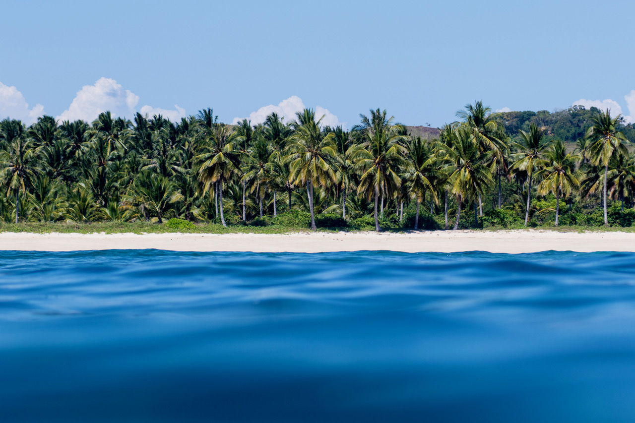 Palm-lined beach near Ngalung Kalla