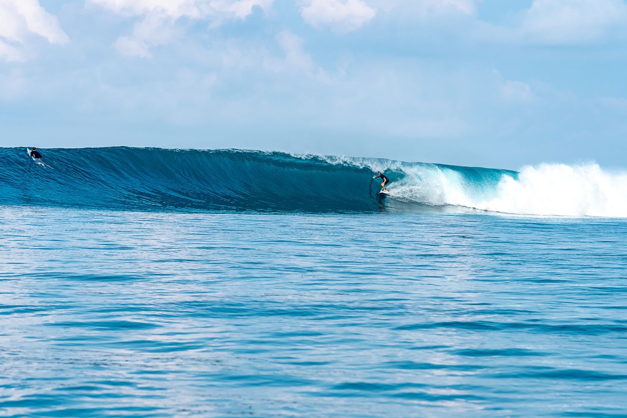 Surfer riding a wave off Sumba's coast