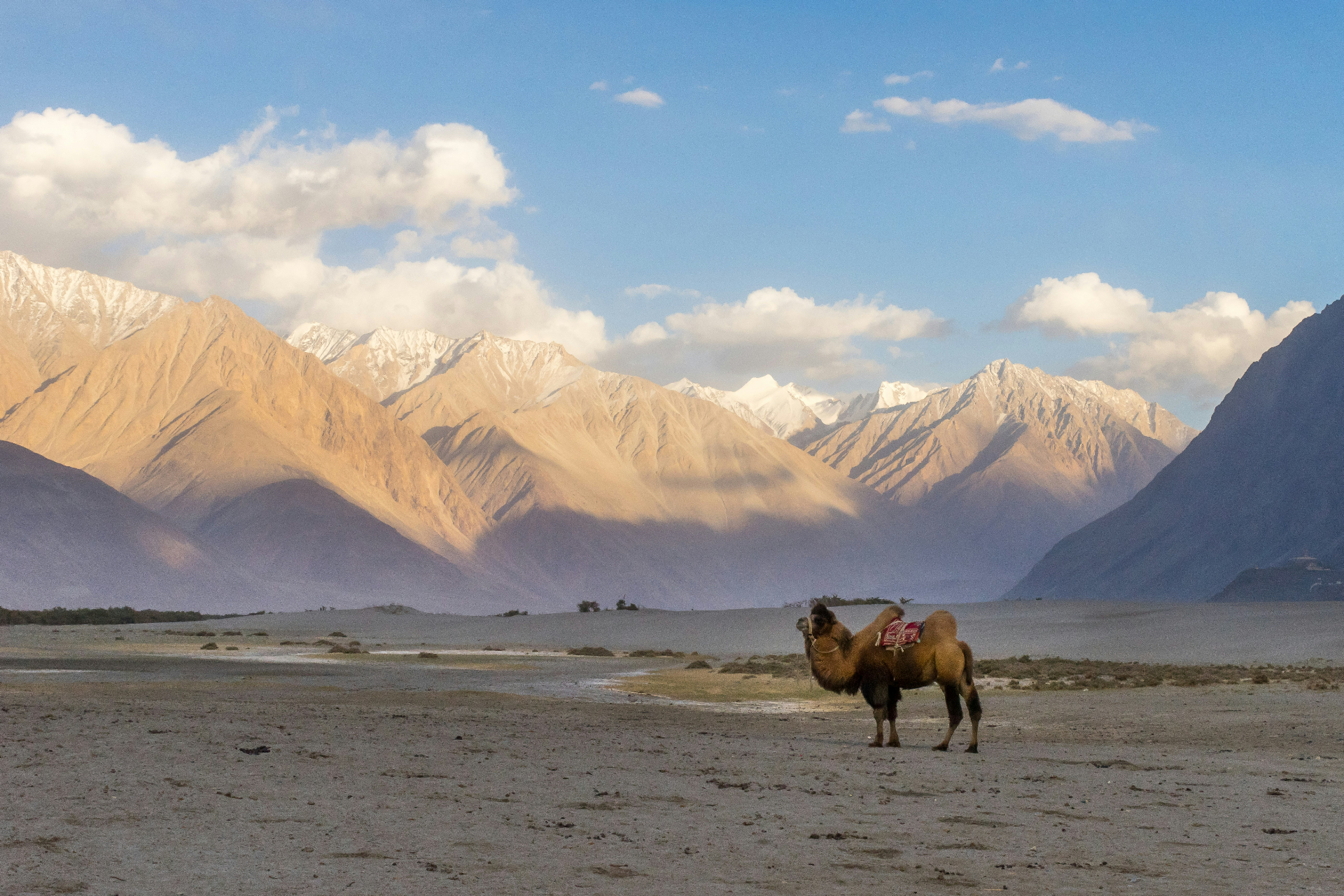 A Silk Route Journey Through Ladakh