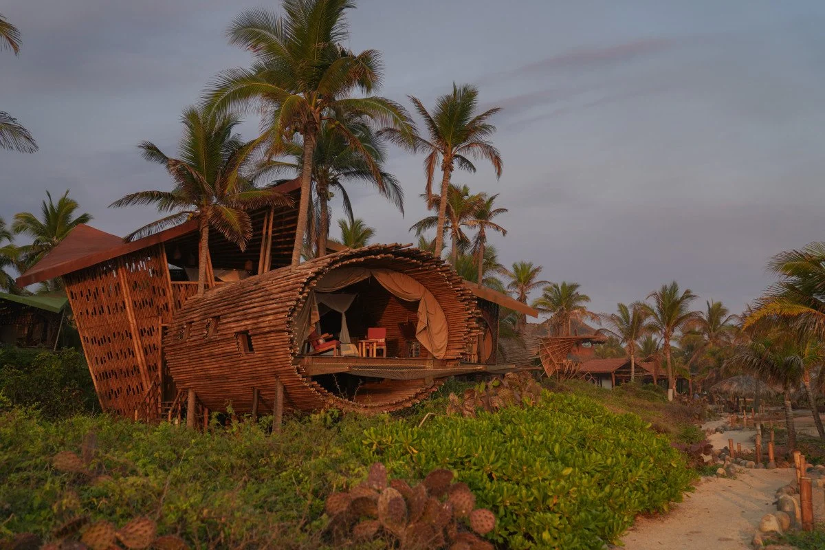 Bamboo treehouse villa among palms and cactus at dusk on Playa Viva's coastal forest edge