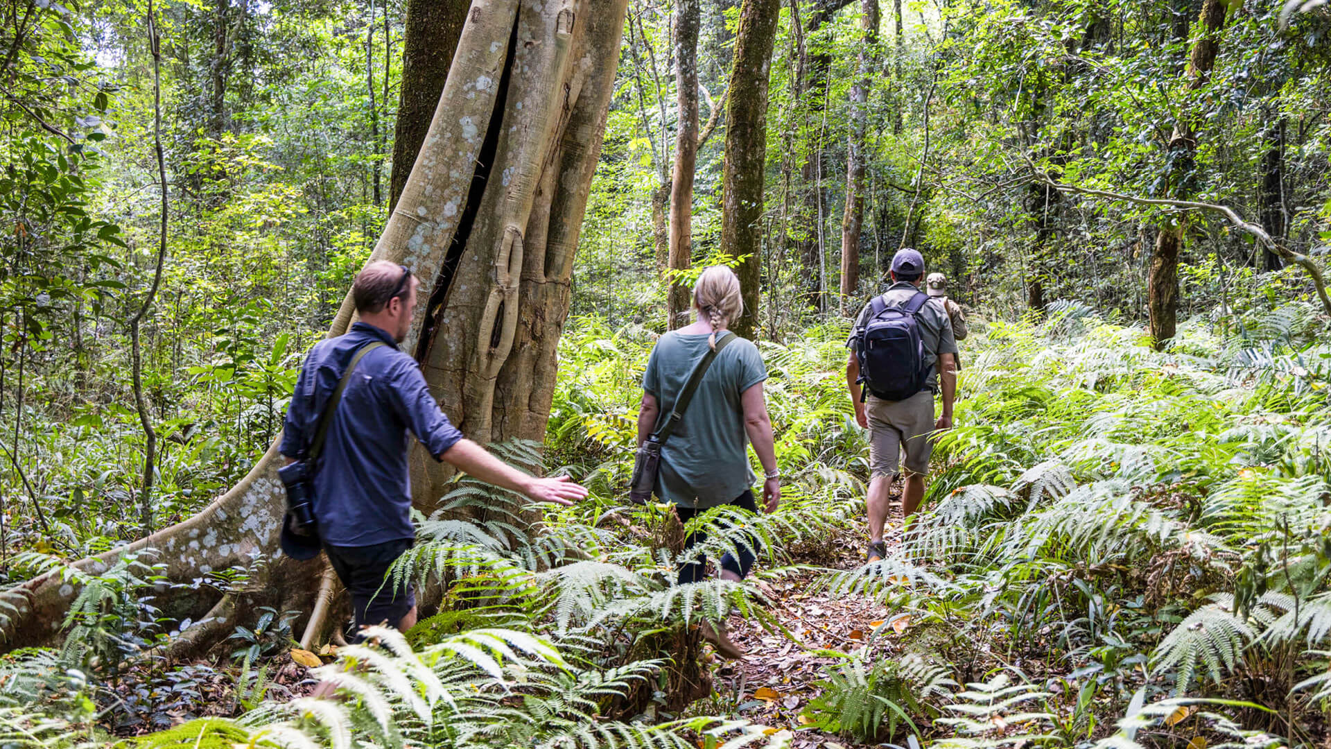 Forest trekking through Rubondo's wilderness
