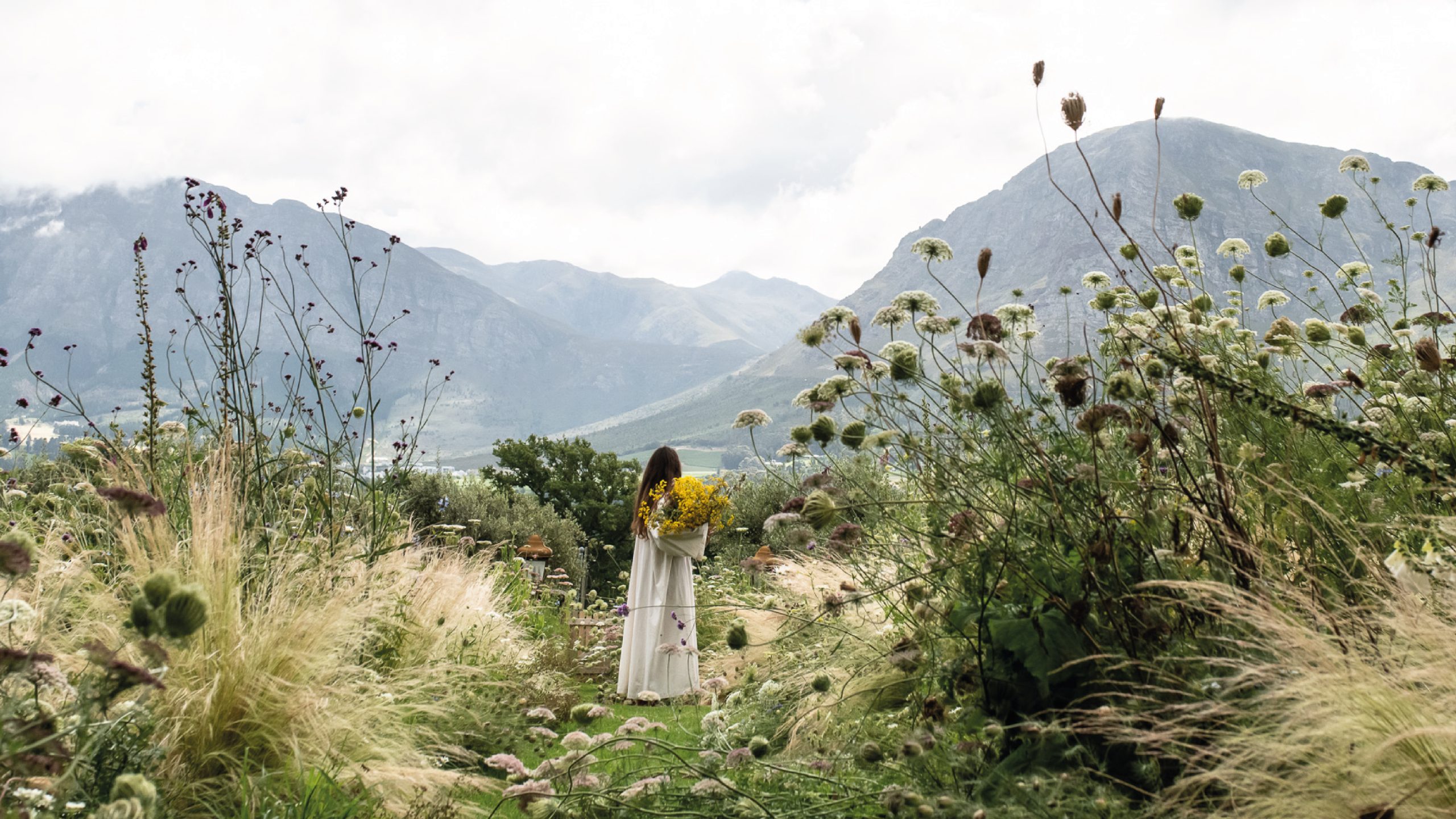 Regenerative Agriculture Tourism: The Ground Beneath the Table