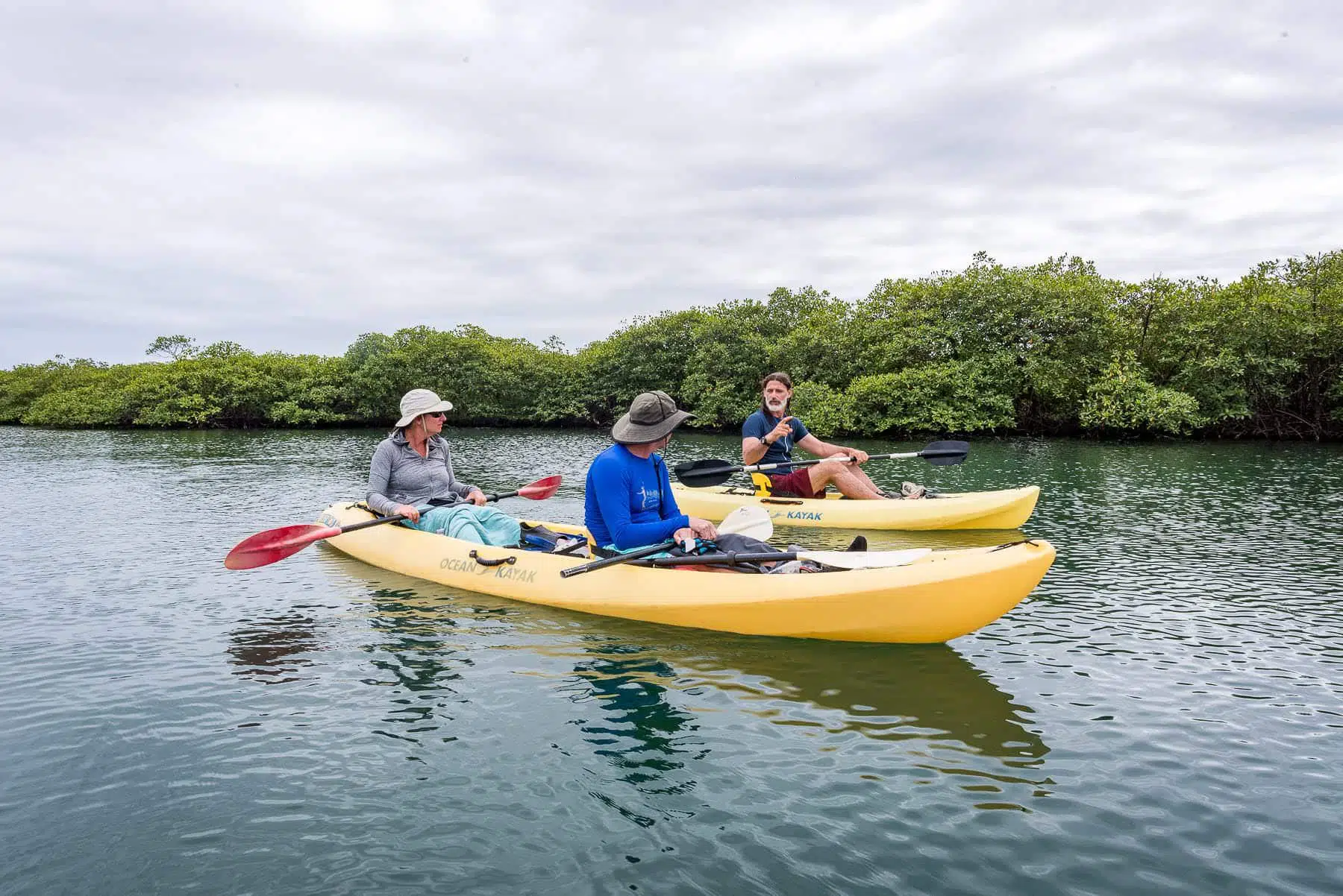 Guests kayaking along the mangrove-lined coast with a naturalist guide