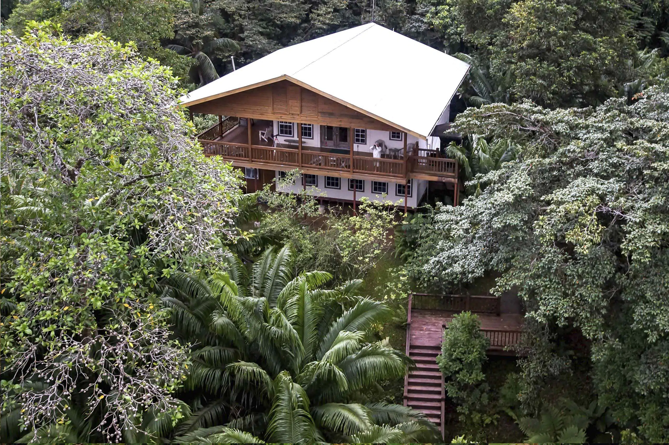 Tranquilo Bay lodge nestled within the rainforest canopy