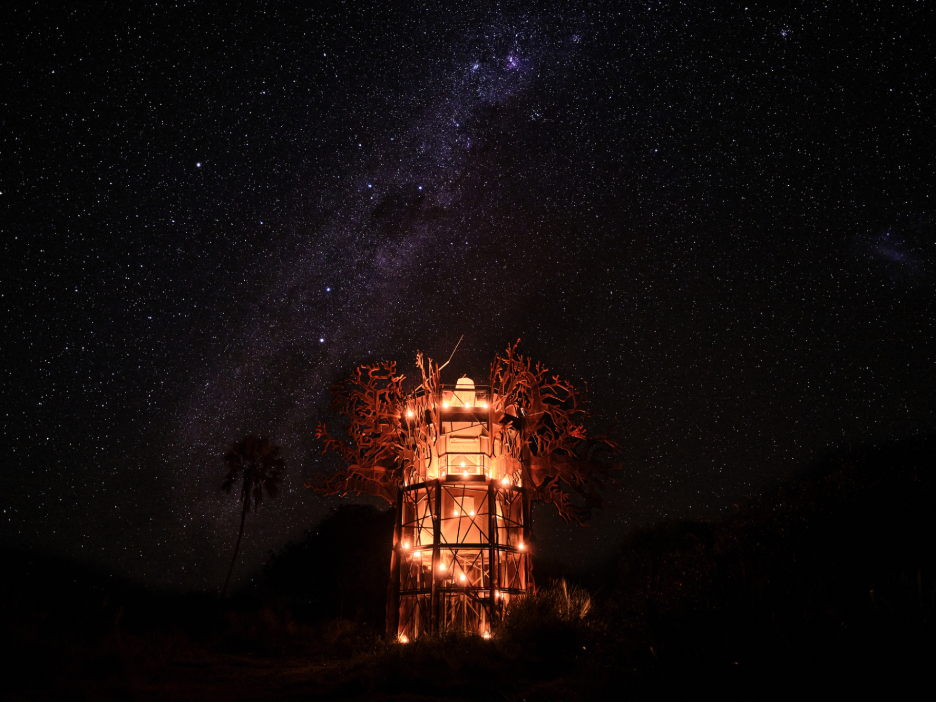 Baobab Treehouse glowing under the Milky Way